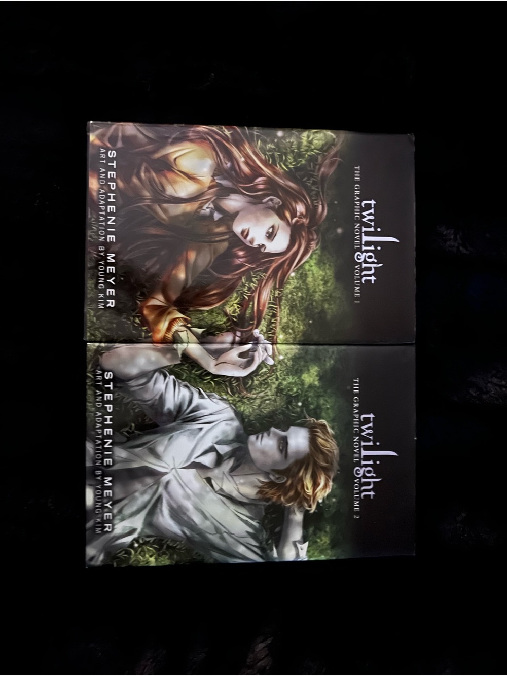 Twilight Graphic Novel Volumes 1 & 2